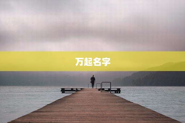 万起名字
