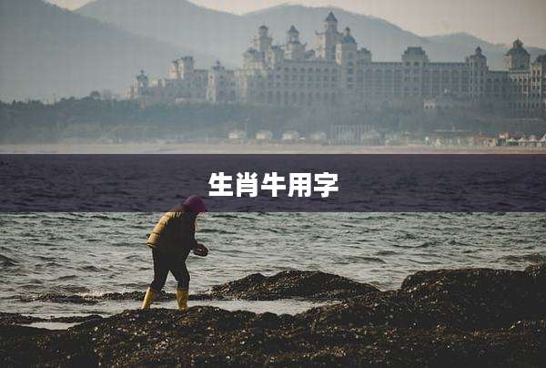 生肖牛用字