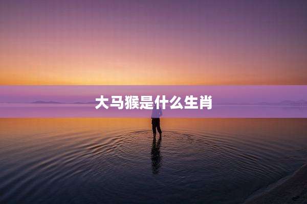 大马猴是什么生肖