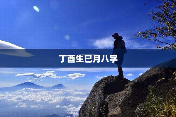 丁酉生巳月八字