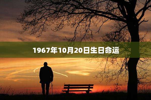 1967年10月20日生日命运