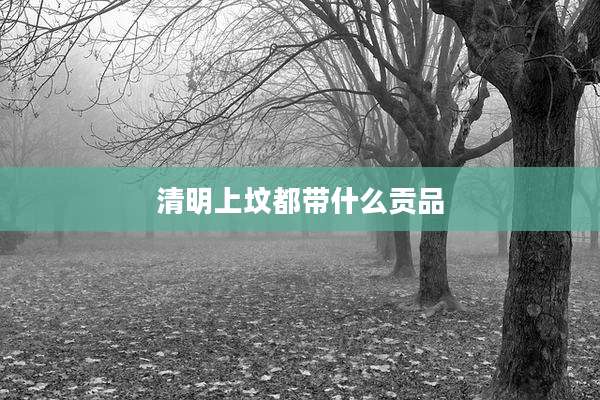 清明上坟都带什么贡品