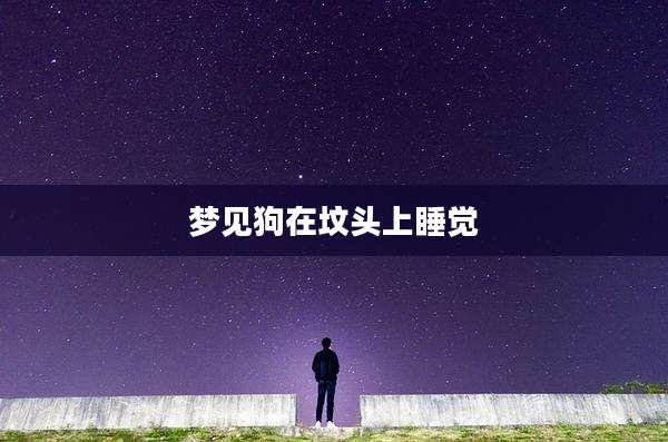 梦见狗在坟头上睡觉