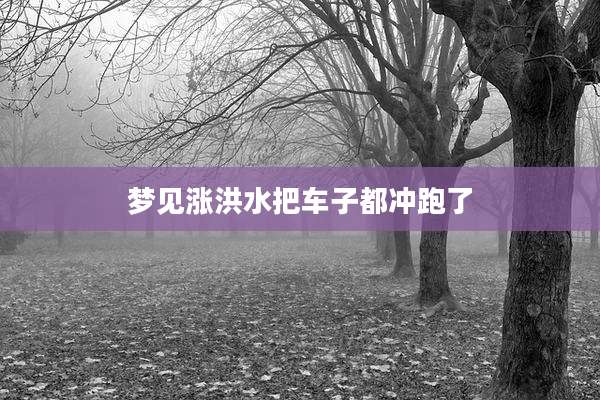 梦见涨洪水把车子都冲跑了