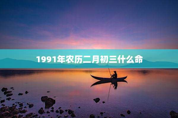 1991年农历二月初三什么命