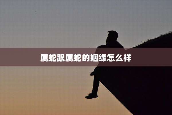 属蛇跟属蛇的姻缘怎么样