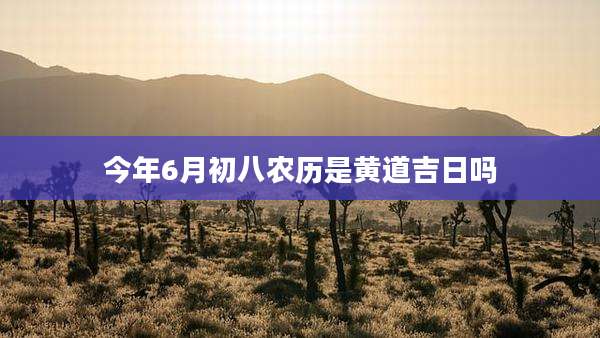 今年6月初八农历是黄道吉日吗