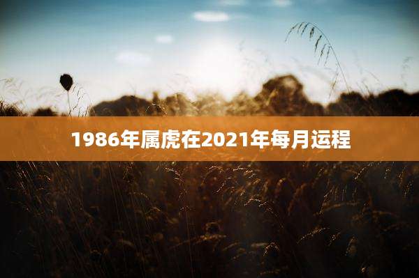 1986年属虎在2021年每月运程