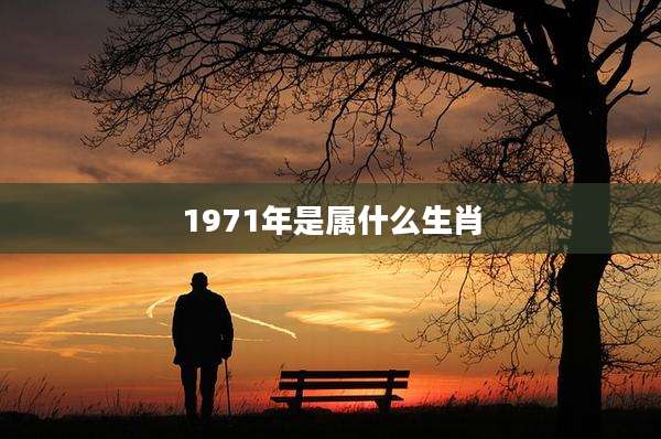 1971年是属什么生肖
