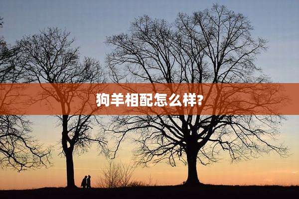 狗羊相配怎么样?