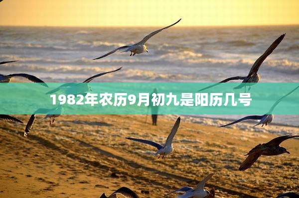 1982年农历9月初九是阳历几号