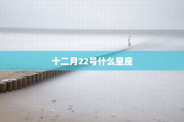 十二月22号什么星座
