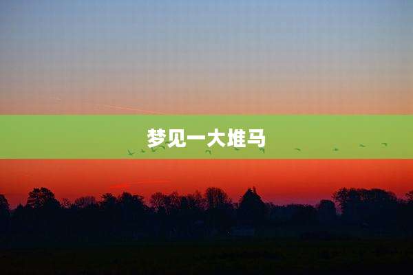 梦见一大堆马