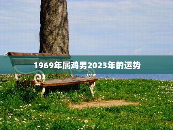 1969年属鸡男2023年的运势