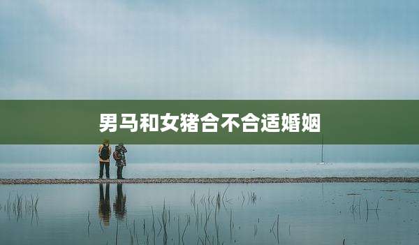 男马和女猪合不合适婚姻