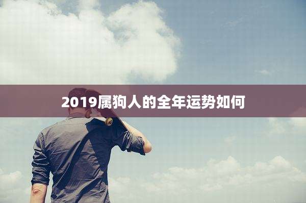 2019属狗人的全年运势如何