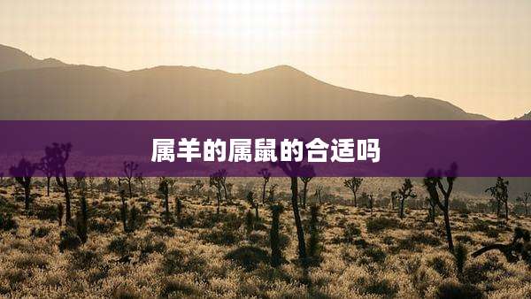 属羊的属鼠的合适吗