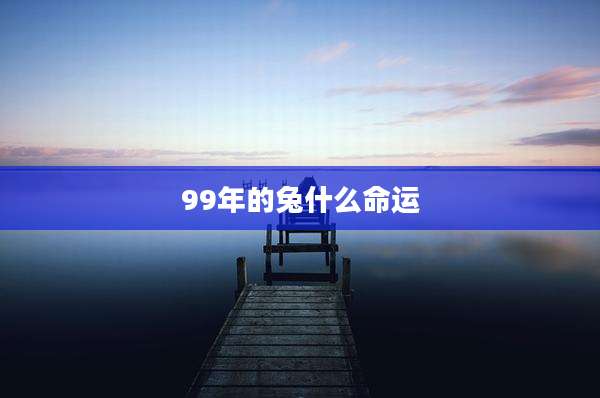 99年的兔什么命运