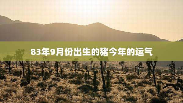 83年9月份出生的猪今年的运气