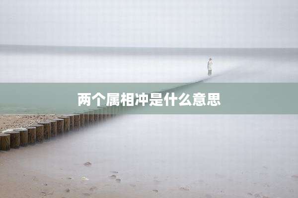 两个属相冲是什么意思