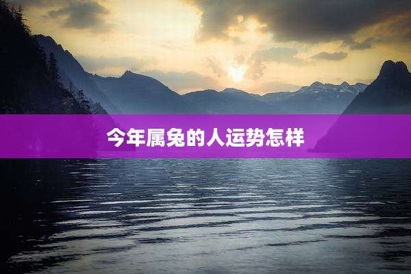 今年属兔的人运势怎样