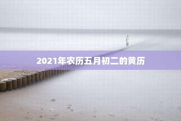 2021年农历五月初二的黄历