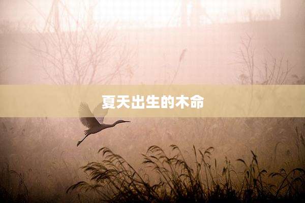 夏天出生的木命