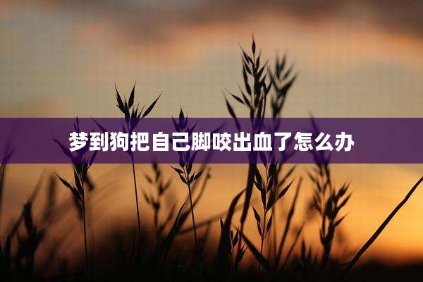 梦到狗把自己脚咬出血了怎么办