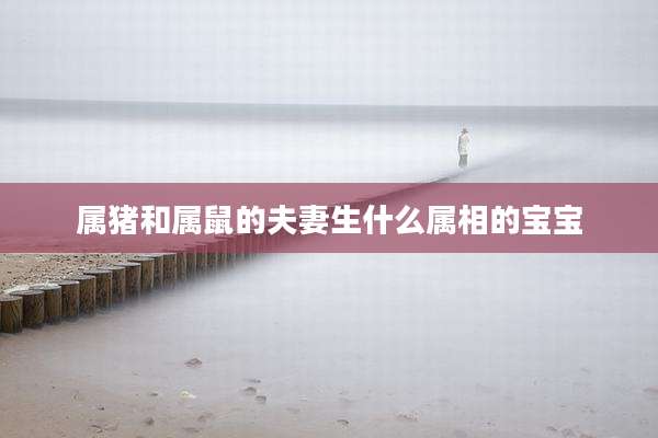属猪和属鼠的夫妻生什么属相的宝宝