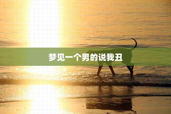 梦见一个男的说我丑