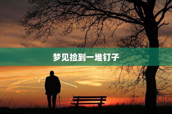 梦见捡到一堆钉子
