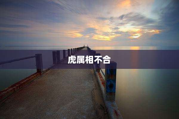 虎属相不合