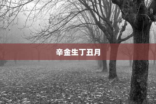 辛金生丁丑月