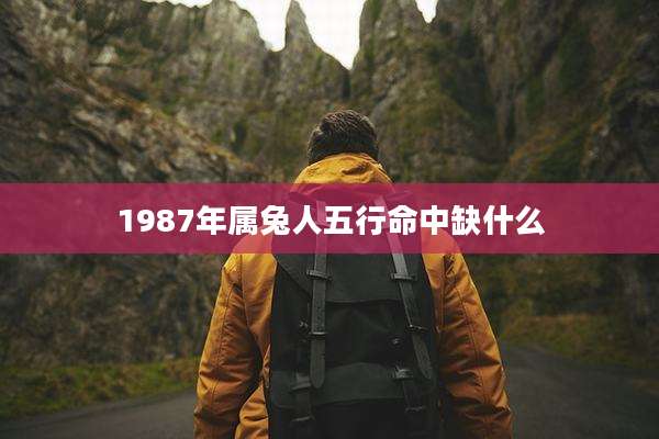 1987年属兔人五行命中缺什么