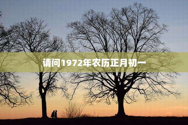 请问1972年农历正月初一