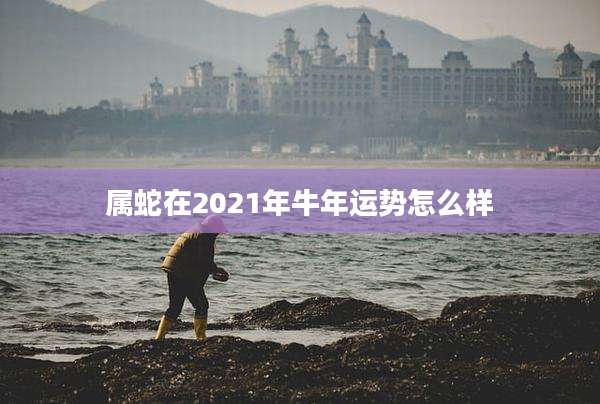属蛇在2021年牛年运势怎么样