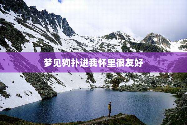 梦见狗扑进我怀里很友好