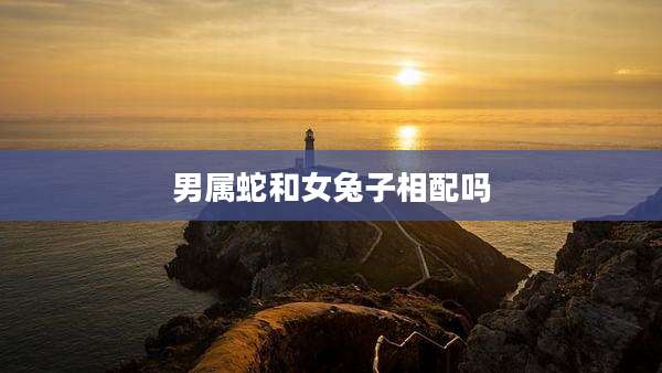 男属蛇和女兔子相配吗
