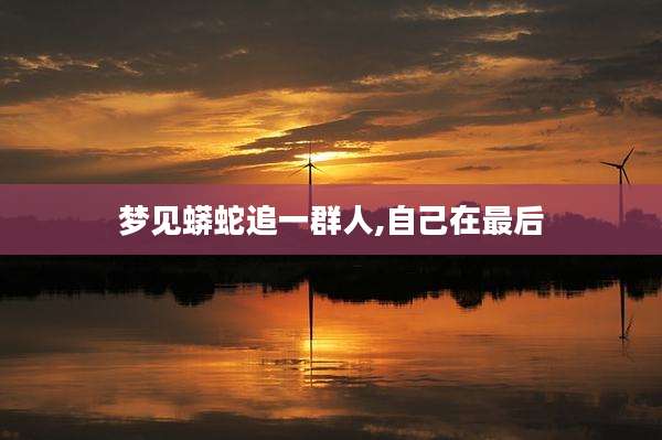 梦见蟒蛇追一群人,自己在最后
