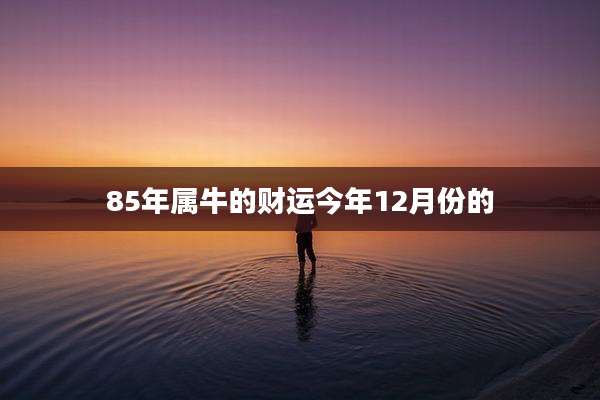 85年属牛的财运今年12月份的