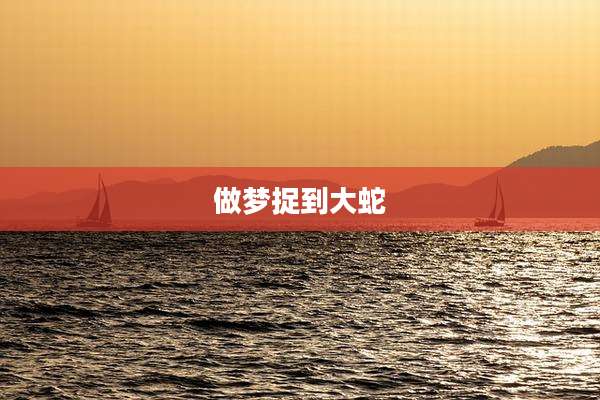 做梦捉到大蛇