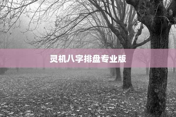 灵机八字排盘专业版