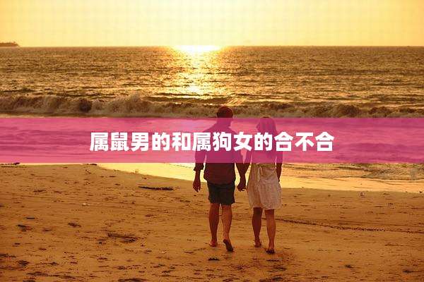 属鼠男的和属狗女的合不合