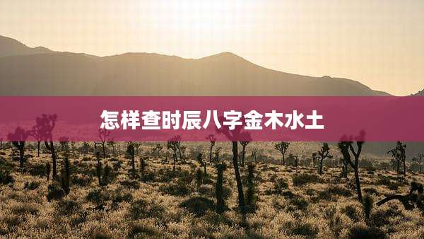 怎样查时辰八字金木水土