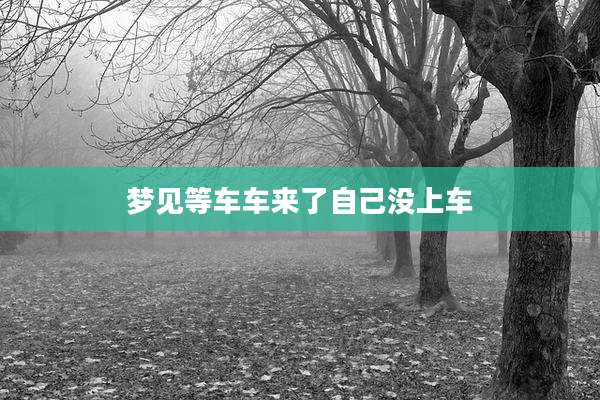 梦见等车车来了自己没上车