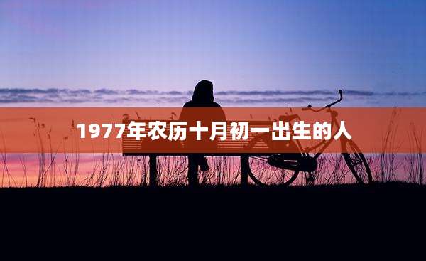 1977年农历十月初一出生的人