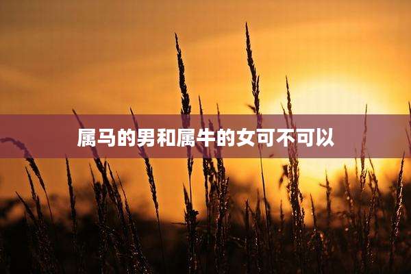 属马的男和属牛的女可不可以