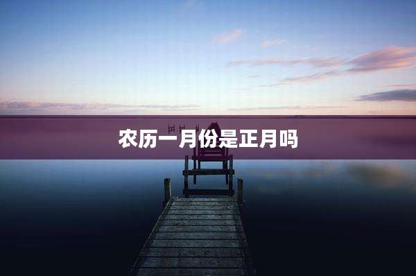 农历一月份是正月吗