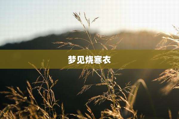 梦见烧寒衣