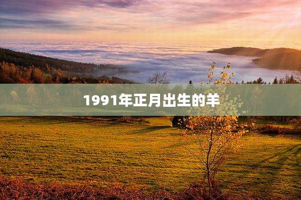 1991年正月出生的羊